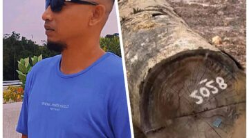 Sekjen DPW FANST Respons Counter Polri Nusantara Aceh: “Tangkap Dan Sikat Habis Mafia Illegal Logging Tanpa Pengecualian”